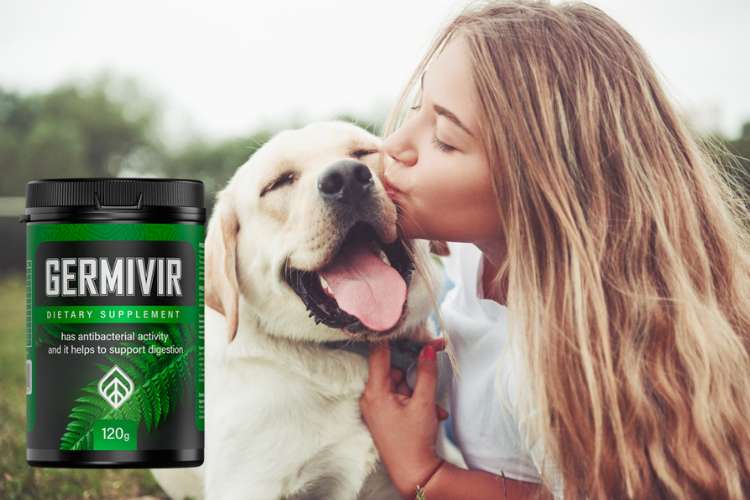 Germivir цена
