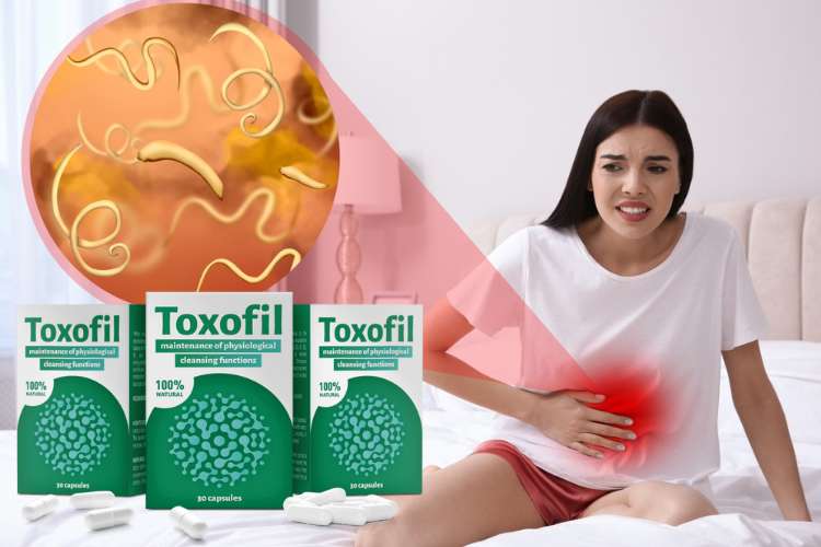 Toxofil цена