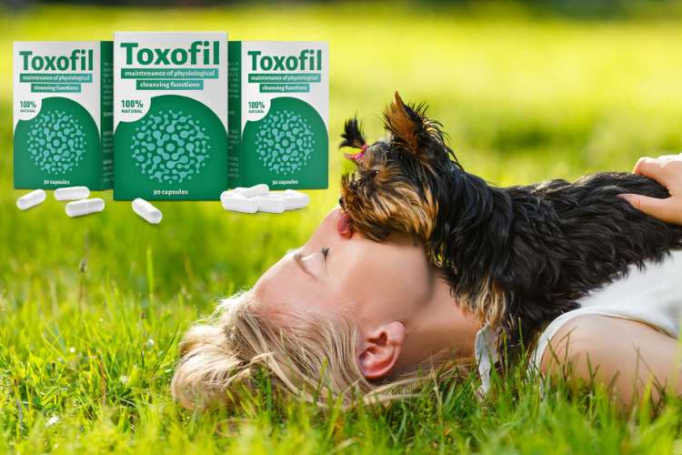 Toxofil измама