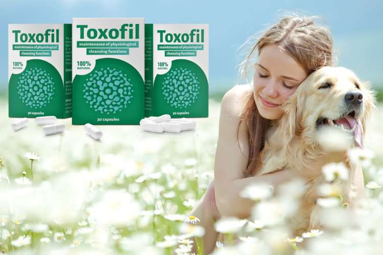 Toxofil състав