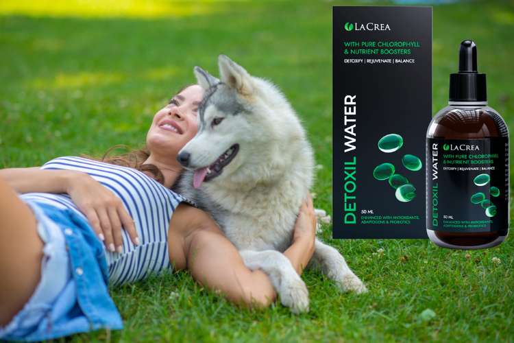 Detoxil Water цена